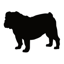 Niedliche Bulldogge Silhouette