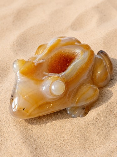 Achat frosch mit - druse, –