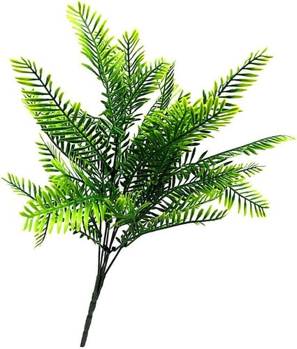 Palmen strauß palmwedel - palmen,
