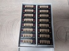 16 Zahngarnituren A4 L8 Merz