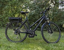 Fahrrad E-Bike Pegasus Premio