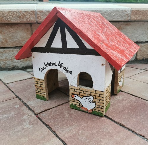 Meerschweinchen hase kaninchen - meerschweinchen,