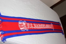 Offizieller Schal Finale