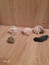 Muschel und Dekokristall