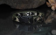 Halsband Nylon 15mm TARN Jack