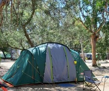 Coleman Spruce Falls 4