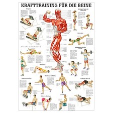 Mini-Poster "Krafttraining
