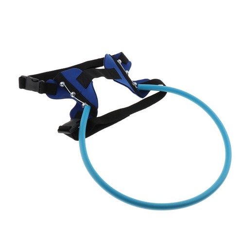 Blind pet dog welpe outdoor - dog,