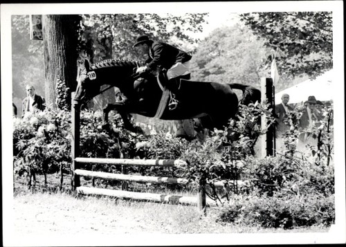 Foto springreiten sprung - springreiten,,