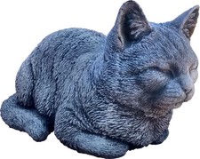 Katze gehockt grobes Fell