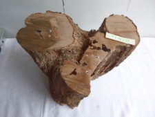 Olivenholz Olive Wurzelholz