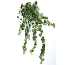 Efeubusch 371 Blatt L90cm