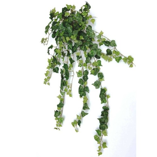Efeubusch 371 blatt l90cm - efeubusch,