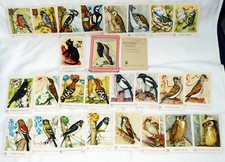 Altes Quartettspiel Die Vogelhochzeit Schwarzer Peter 1963 DDR Zum Mitsingen KOM