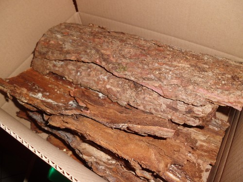 Baumrinde 1800g große - baumrinde,,