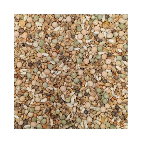 Foofine rassetauben vital - rassetauben,