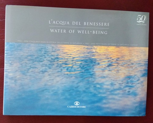 Wellnesswasser 1956 2006 - wellnesswasser, 1956-2006