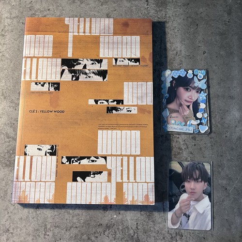 Stray kids skz changbin - stray,