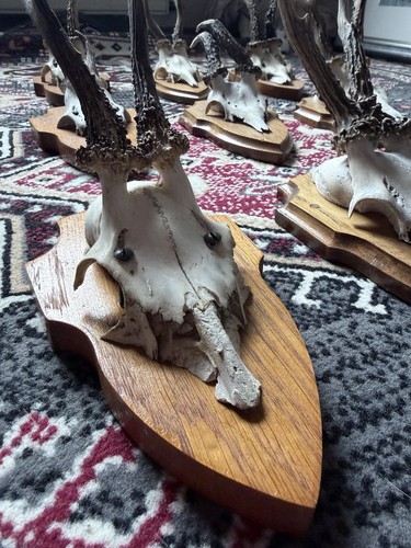 Sammlung hochwertiger