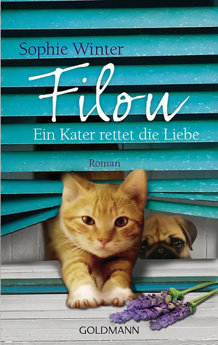 Filou ein kater rettet - rettet, die