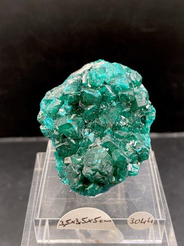 Dioptas kongo mineralien - kongo,
