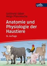 Anatomie und Physiologie der