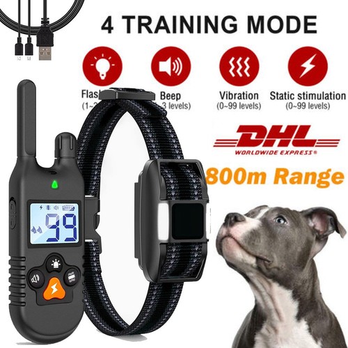 800m hunde halsband - hunde,