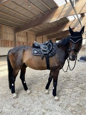 VS / SPRUNG SET Chevaleria