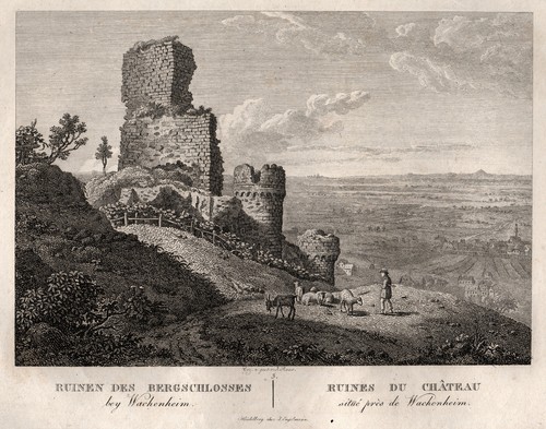 Wachenheim original - wachenheim,