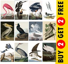 Ufervogel Druck 12 Optionen