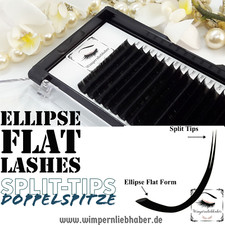 Ellipse Flat Lashes I
