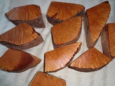 Pfeife, pipe, Plateaux Bruyere