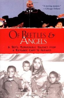 Beetles and angels a boys - and,