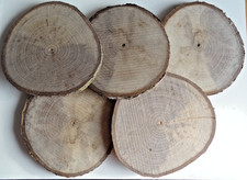 5 Stuck Baumscheibe Walnuss