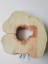 Int18 XL Baumscheibe Akazie Robinie 48x42x8 94-98Jahre Holzscheibe Tischplatte
