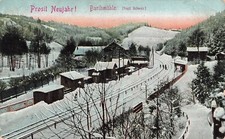 Ansicht auf Bahnhof Barthmühle in Vogtl. Schweiz Sachsen Postkarte AK 1918