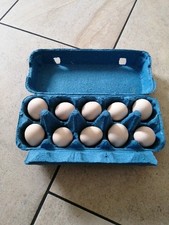 Eier Zwerghühner Chabo 20 St