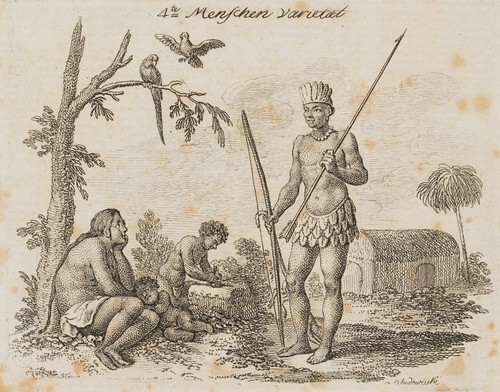 Chodowiecki die - (*1726),,