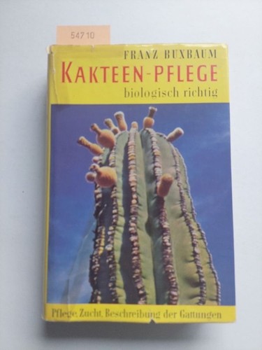 Buxbaum kakteen pflege - buxbaum, kakteen-pflege
