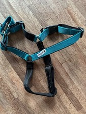 Easy Walk Trainingsgeschirr