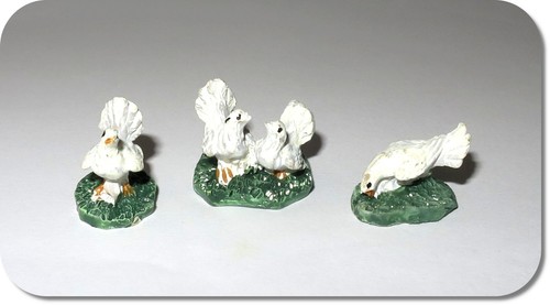 Miniatur taube weiße tauben - miniatur, taube,