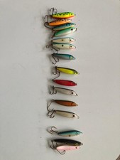 15 Meerforellen falkfish