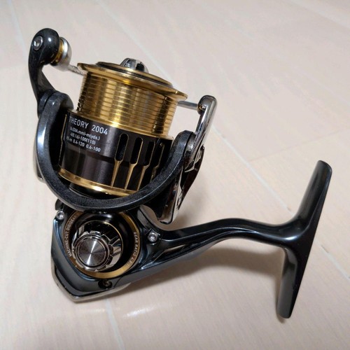 Daiwa theory 2004 - daiwa,