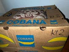 1 Sofadecke 3 neue Sitzauflagen 2 gebr Federkissen Garten Camping Balkon Indoor