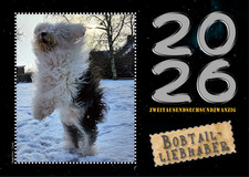 Bobtail Kalender 2026 - Old