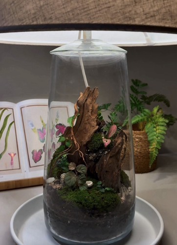 Terrarium mit
