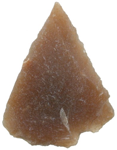 Neandertaler seltene - neandertaler,