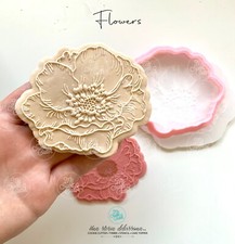 Mohn Frühling Blume Flowers