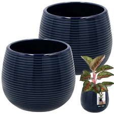 KOTARBAU® 2St Blumentopf