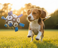 Hundefußball mit Schlaufen